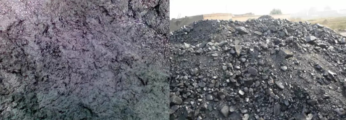 瑞新熱裂解技術(shù) 變水產(chǎn)品廢棄物為寶，助力環(huán)保新篇章