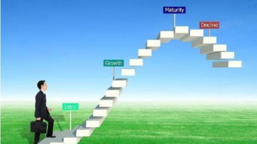 深圳品牌策劃與營銷 市場動態(tài)與專業(yè)機(jī)構(gòu)的優(yōu)勢解析