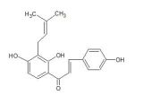 寶雞辰光生物銷售部 專業(yè)提供中藥標(biāo)準(zhǔn)品、對(duì)照品與植物提取物一站式服務(wù)